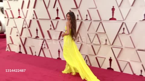 Zendaya Red Carpet Beautiful Dress