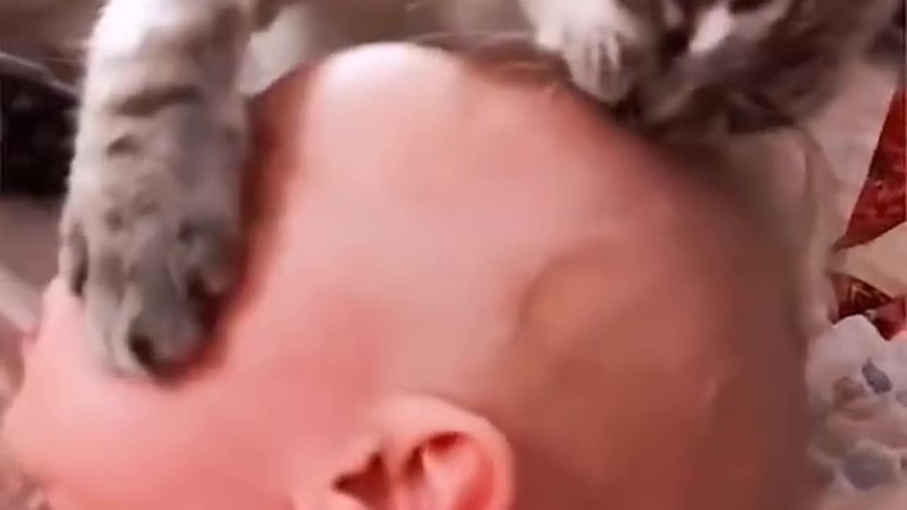 Cat 😺 and baby 🍼 funny 🤣 video