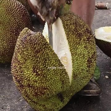 Amazing Giant Fruit! Jackfruit Cutting Skills