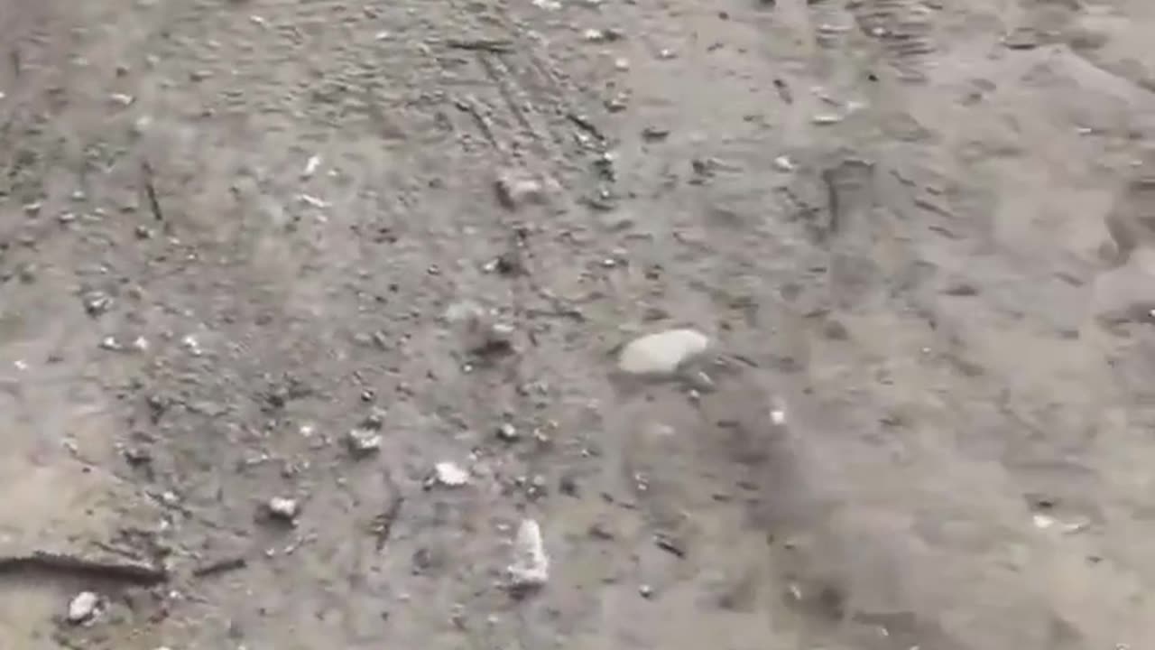 Video of and during the live evacuation and shooting between Hamas and Israeli police