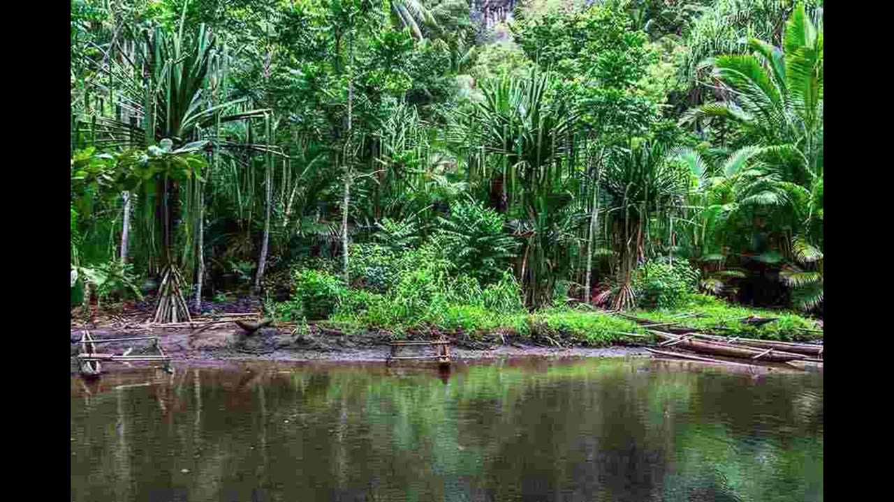 PAPUA NEW GUINEA #SHORTS