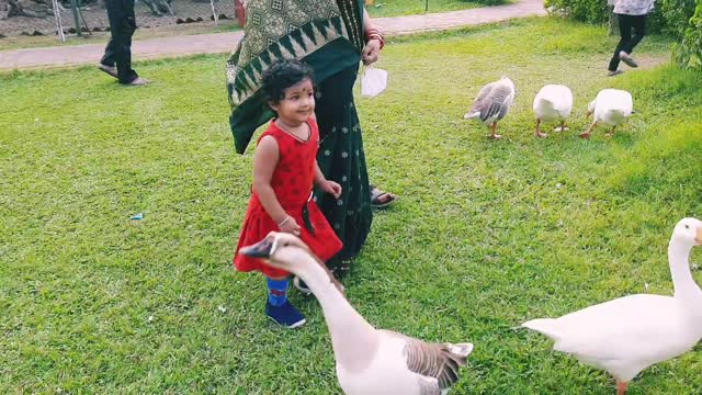 Masti with duck