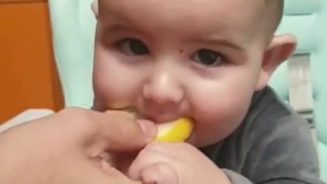 Baby eating Lemon for the first time #4