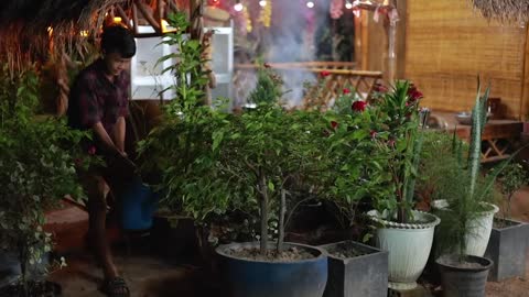 Harvest Lotus root and pick fruit for cooking