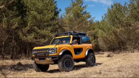 This is a knockoff Jeep that people have never seen an original Ford Mustang