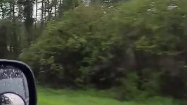 On the Way to jasper