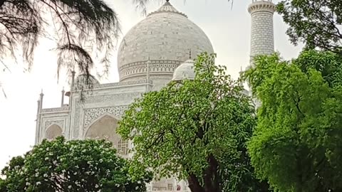 Taj view