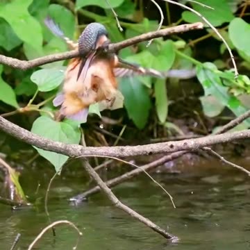 poorly calculated! 😁😁😁😁