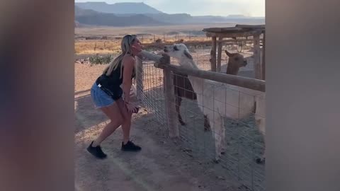 Best Funny Video Fails!!!