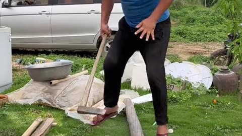 Funny videos
