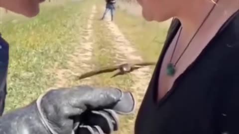 EXTRAORDINARY BIRDS
