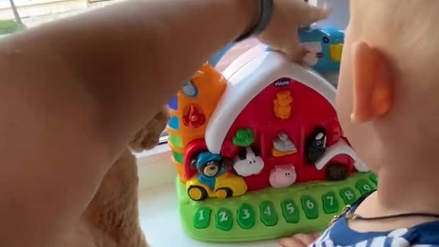 Cute baby playing with cat