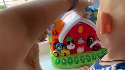 Cute baby playing with cat