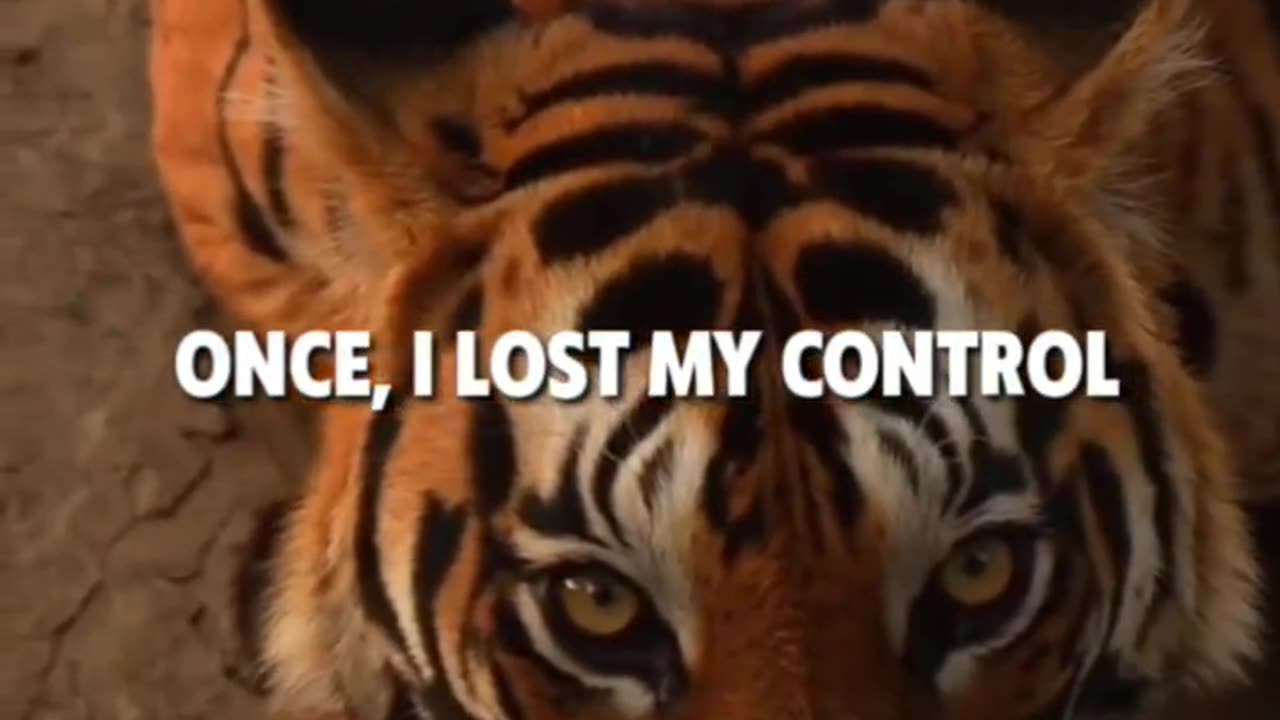 Tiger Shayari