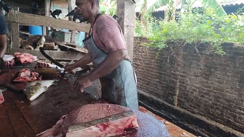 Huge Cobia Fish Cutting Skills