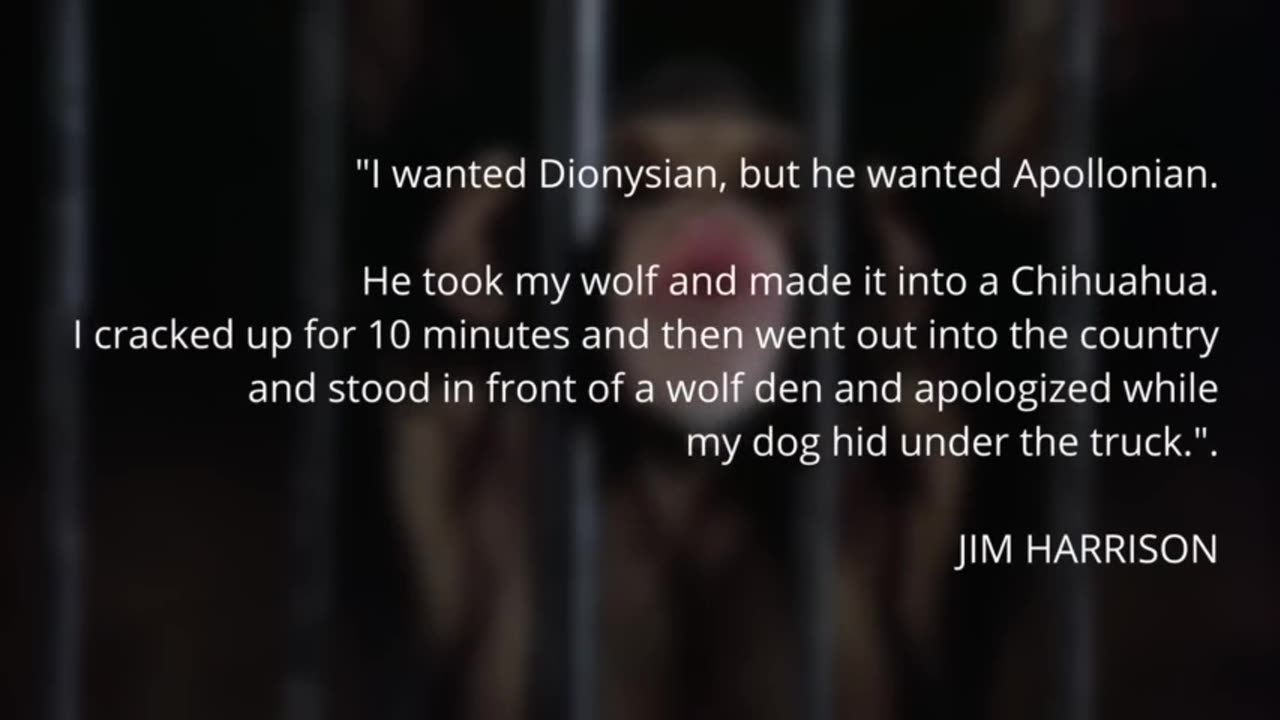 What Happened To Jack Nicholson's Wolf? (11:13)