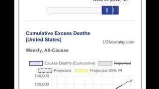 Excess mortality the numbers don’t lie! And it’s getting worse!