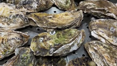 Yummy cooking Oyster recipe