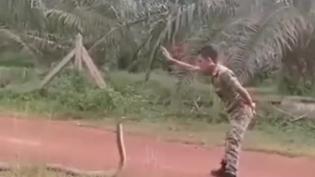 encounters the King Cobra snake' With a single finger he hypnotizes her