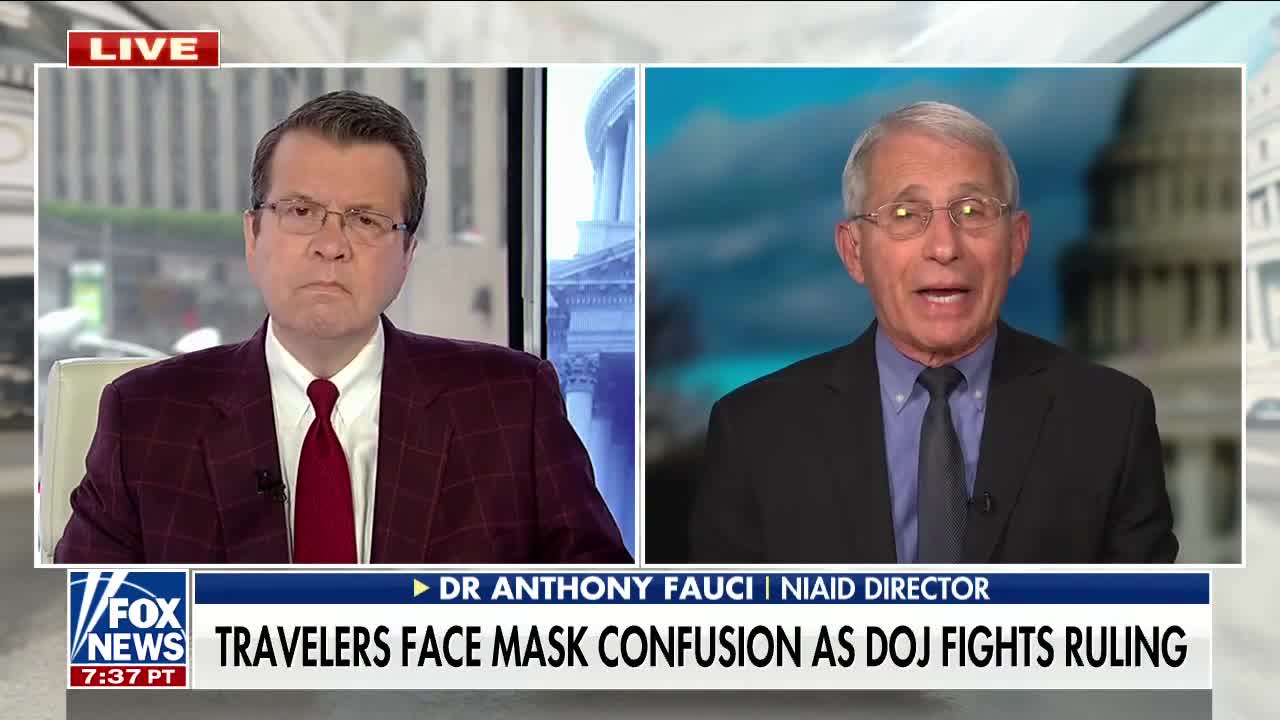 Fauci wants courts to defer to public health experts for matter of 'principle'