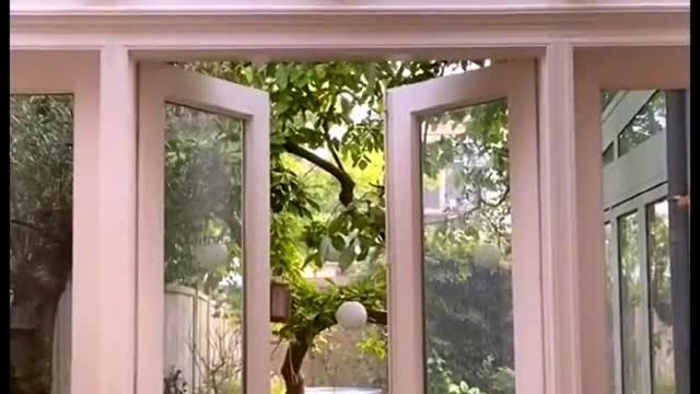 it's raining