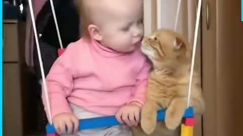 Baby love with cat