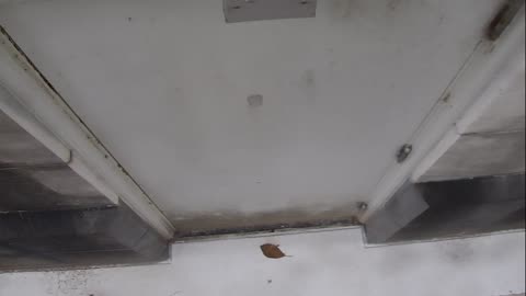 0921USCG00HT18Exterior_2021-01-06_10h00min01s647ms.mp4