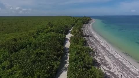 Sea waves and beach