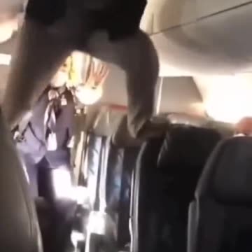 What the hell is happening on planes? This looks demonic