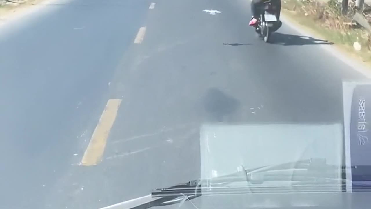 Bird Flies Alongside Motorcyclist