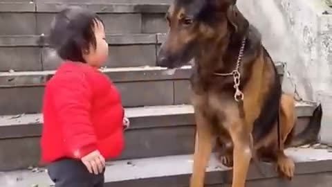 The Cutest Babysitter Ever! #cutebaby #dog #cat #cute #kitten #pets