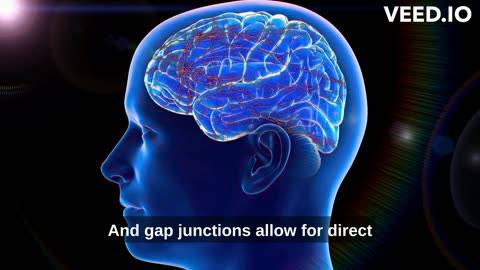 Unveiling the Mysteries of Cell Junctions: Connecting the Dots in Cellular Communication