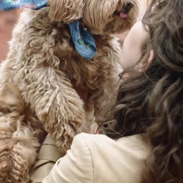 cute-dog-kissing-her-owner ||❤Animals Lover❤||