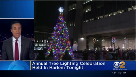 Annual tree lighting celebration held in Harlem