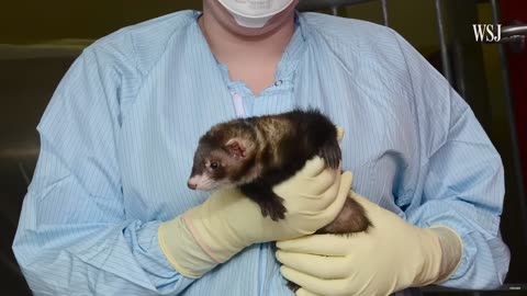 99_ OF PEOPLE HAVE NO IDEA FAUCI IS DOING THIS RIGHT NOW [this was no accident]