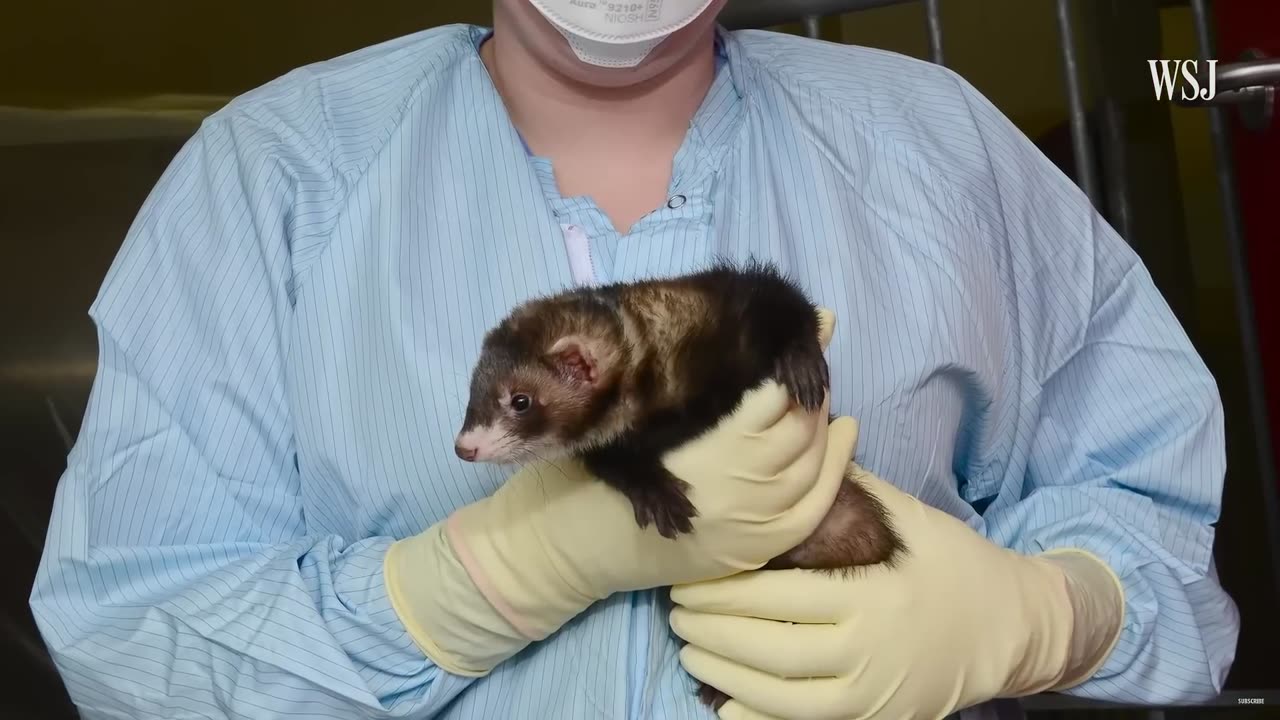 99_ OF PEOPLE HAVE NO IDEA FAUCI IS DOING THIS RIGHT NOW [this was no accident]