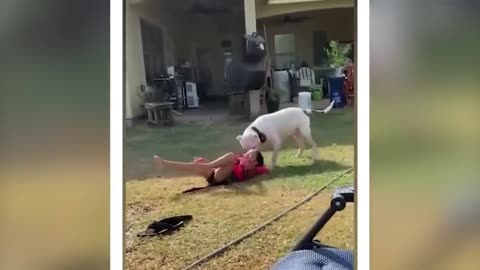 Wwe fight with the animals 🙀💪 so much funny moments video 🤣
