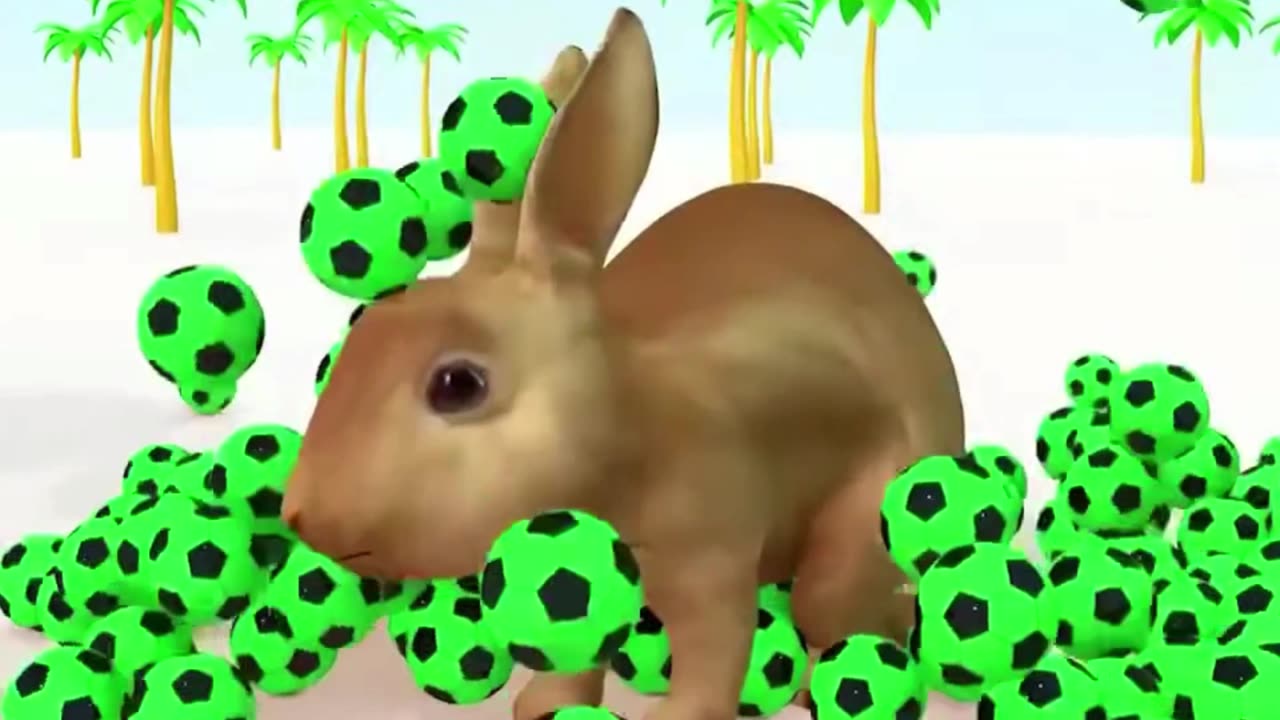 Hammar Hit Tha Ball|Released the Animals|Change Color