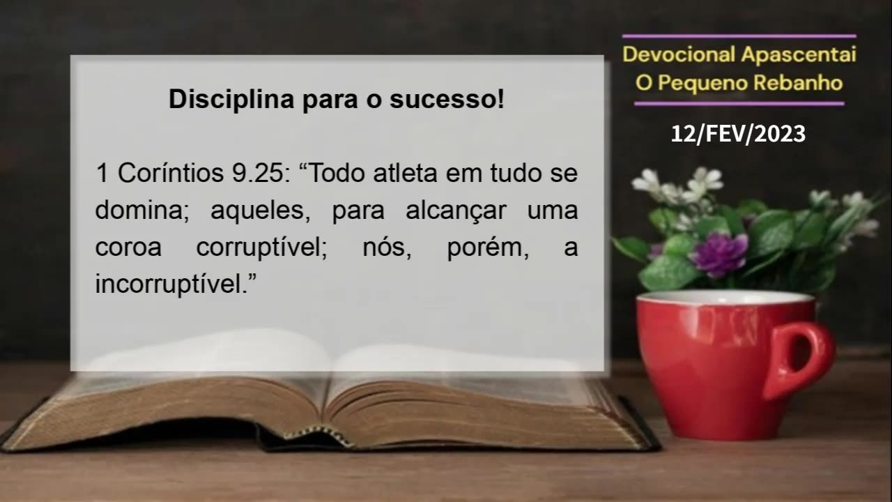 DEVOCIONAL - Disciplina para o sucesso!