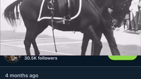 JFK Jr