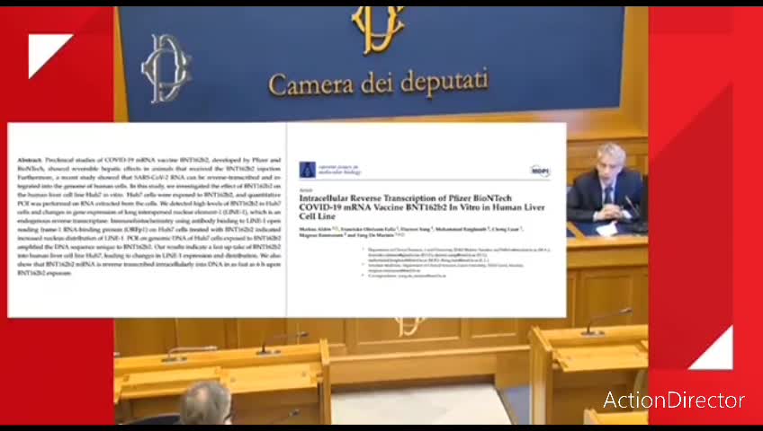L'intervento completo di Frajese alla Camera