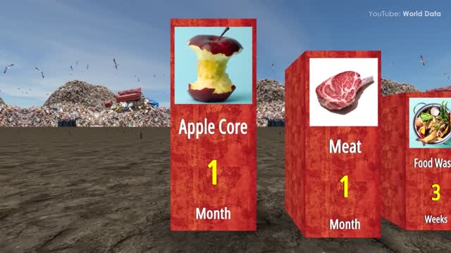 Comparison How Long It Takes To Decompose