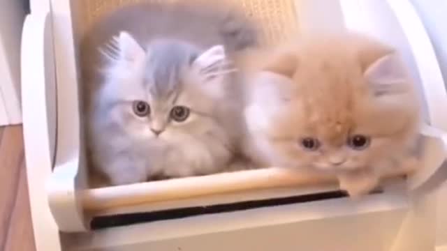 We'll just sit here and watch. I won't sleep.