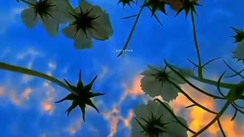 Mood off lofi song