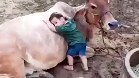 Best video on internet