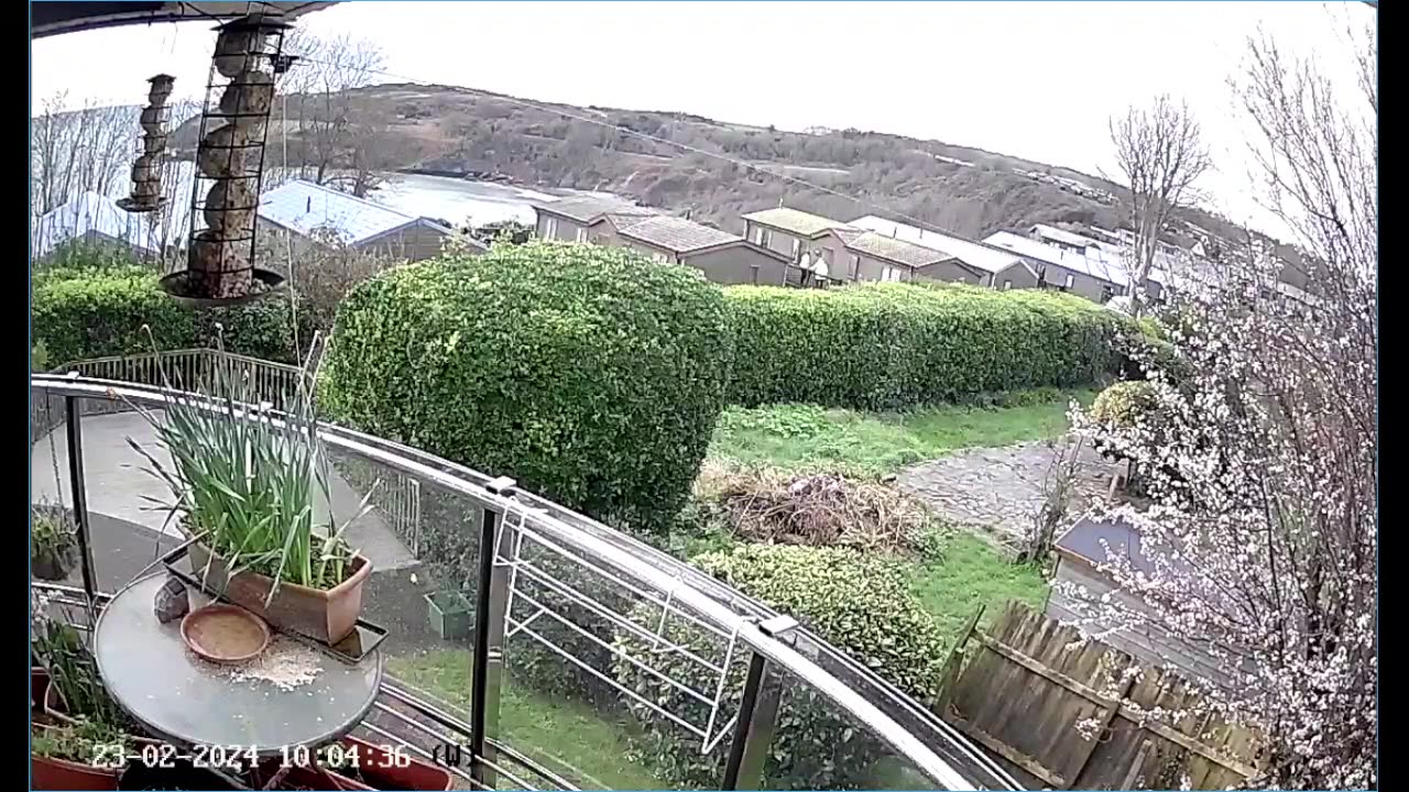 Saint Mary's cove Brixham UK, bird Box & feeders.