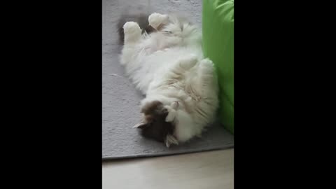 Fluffy cloud wiggling in a dream