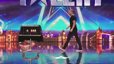 Magic show