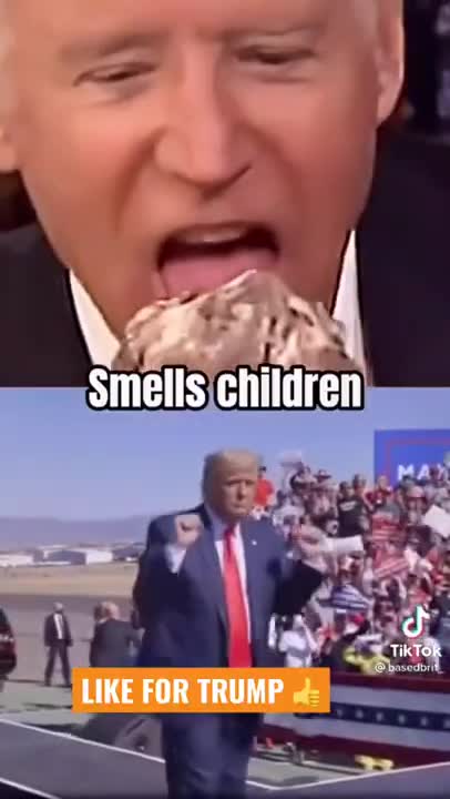 DONALD TRUMP VS JOE BIDEN