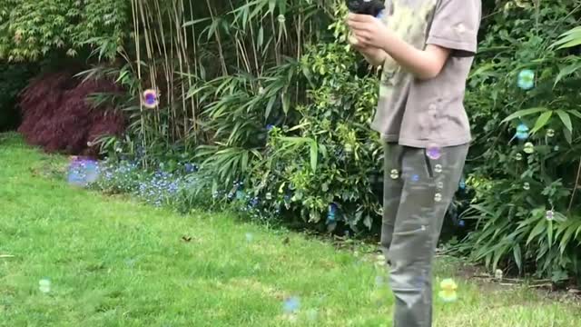 Kid Plays With Bubble Gun in the Backyard